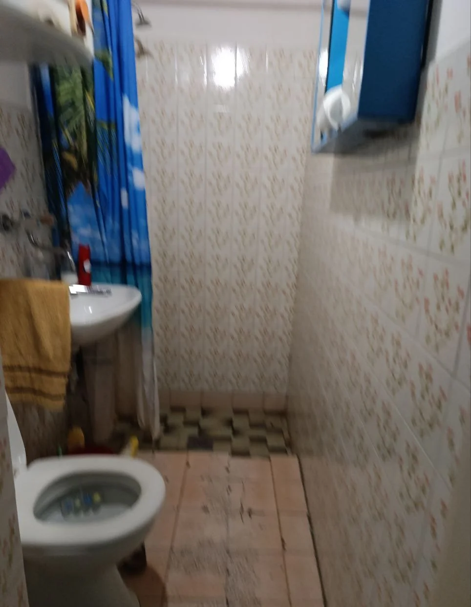 Дом с пекарней в городе Бечей. 40 км от Нови Сада.