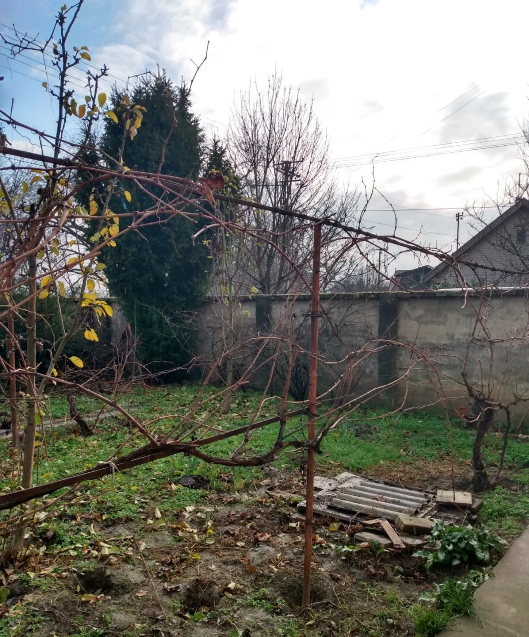 Дом на очень приятной локации. 50 км от Нови Сада.