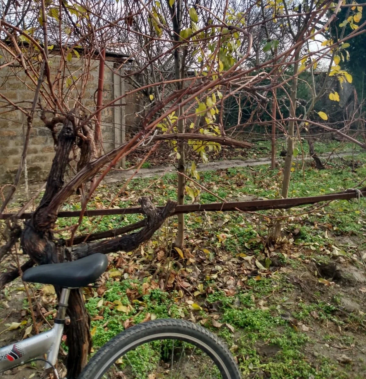 Дом на очень приятной локации. 50 км от Нови Сада.