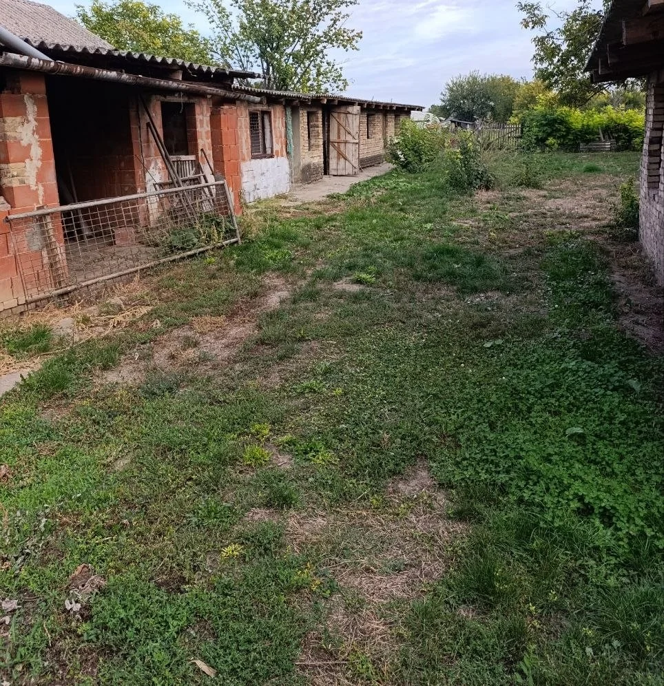 Дом с большим участком в городе. 40 км от Нови Сада.