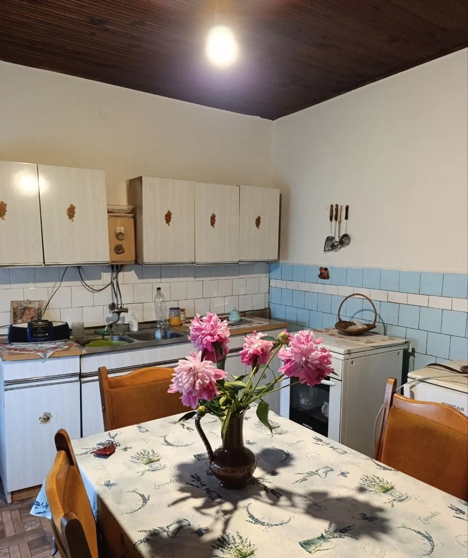 Просторный кирпичный дом. 50 км от Нови Сада